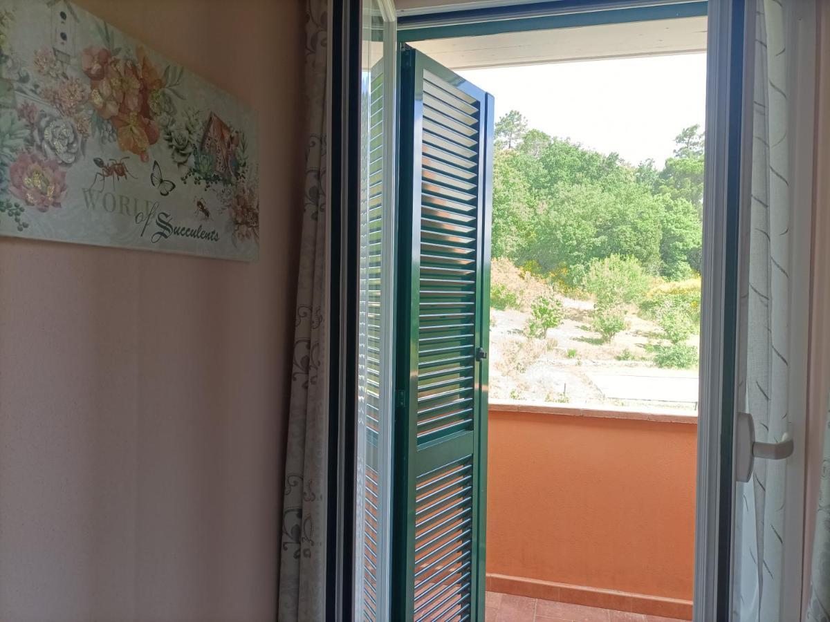 B&B Agriturismo Regno Di Toscana Коллесальветти Экстерьер фото