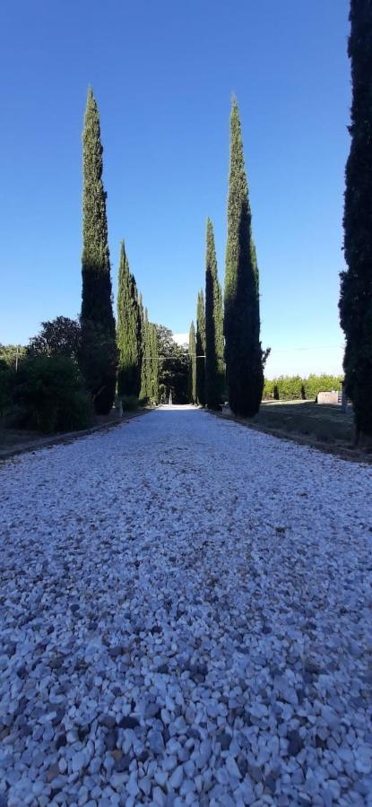 B&B Agriturismo Regno Di Toscana Коллесальветти Экстерьер фото