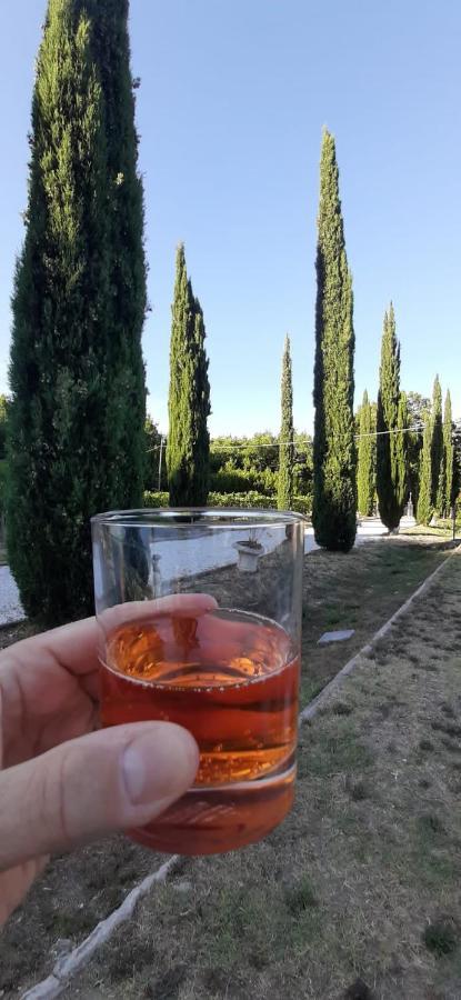 B&B Agriturismo Regno Di Toscana Коллесальветти Экстерьер фото